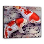 Koi Canvas 20  x 16  (Stretched)