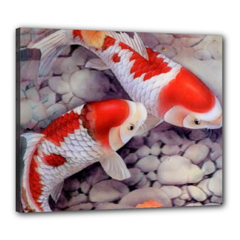 Koi Canvas 24  x 20  (Stretched) from ArtsNow.com