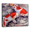Canvas 24  x 20  (Stretched) 