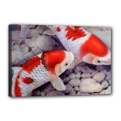 Koi Canvas 18  x 12  (Stretched) from ArtsNow.com