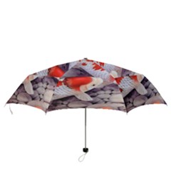 Folding Umbrella 