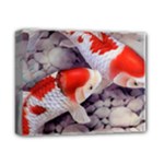 Koi Deluxe Canvas 14  x 11  (Stretched)