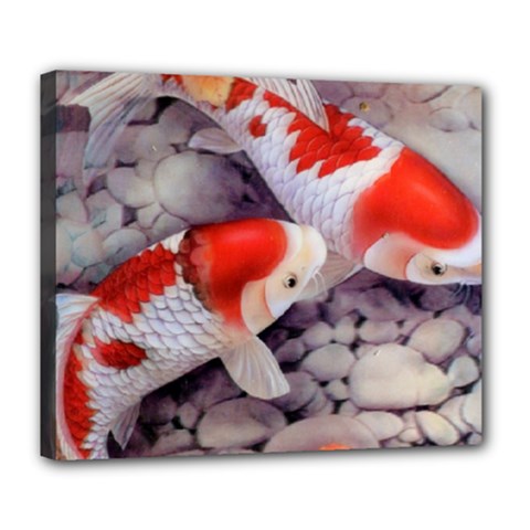 Koi Deluxe Canvas 24  x 20  (Stretched) from ArtsNow.com
