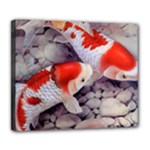 Koi Deluxe Canvas 24  x 20  (Stretched)
