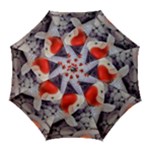 Koi Golf Umbrella