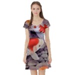 Koi Short Sleeve Skater Dress