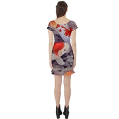 Short Sleeve Skater Dress Back Short Sleeve Skater Dress Back