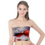 Koi Tube Top