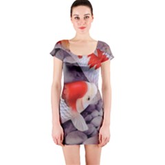 Short Sleeve Bodycon Dress Front Short Sleeve Bodycon Dress Front