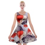 Koi Velvet Skater Dress