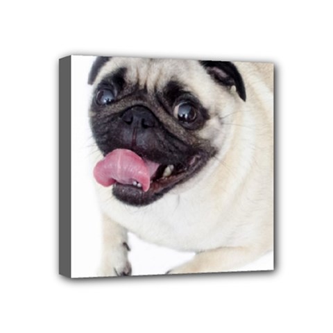 Pug Dog Mini Canvas 4  x 4  (Stretched) from ArtsNow.com