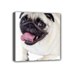 Pug Dog Mini Canvas 4  x 4  (Stretched)