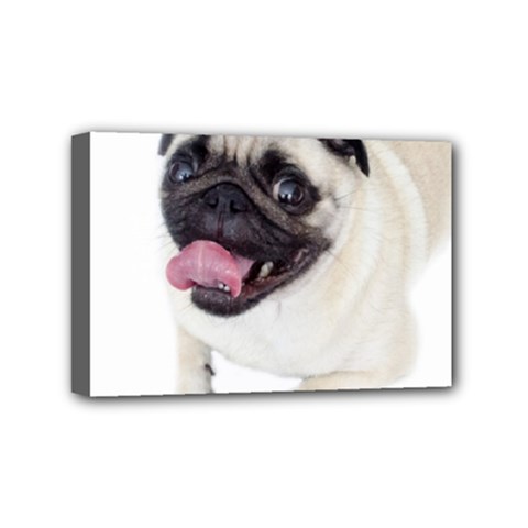 Pug Dog Mini Canvas 6  x 4  (Stretched) from ArtsNow.com