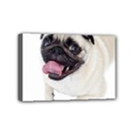 Pug Dog Mini Canvas 6  x 4  (Stretched)