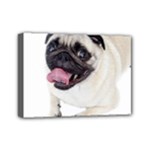 Pug Dog Mini Canvas 7  x 5  (Stretched)