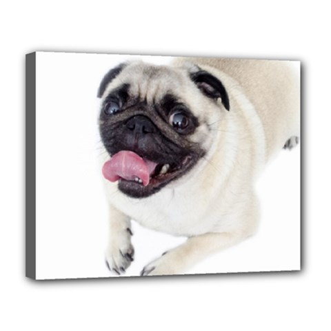 Pug Dog Canvas 14  x 11  (Stretched) from ArtsNow.com