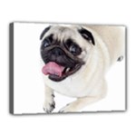 Pug Dog Canvas 16  x 12  (Stretched)