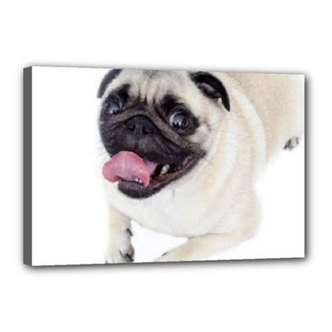 Pug Dog Canvas 18  x 12  (Stretched) from ArtsNow.com