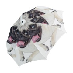 Folding Umbrella 
