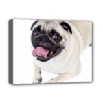 Pug Dog Deluxe Canvas 16  x 12  (Stretched) 