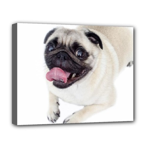 Pug Dog Deluxe Canvas 20  x 16  (Stretched) from ArtsNow.com