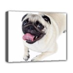 Pug Dog Deluxe Canvas 20  x 16  (Stretched)