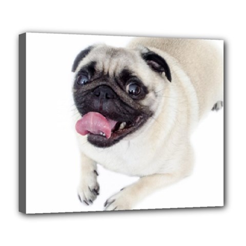 Pug Dog Deluxe Canvas 24  x 20  (Stretched) from ArtsNow.com