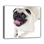 Pug Dog Deluxe Canvas 24  x 20  (Stretched)
