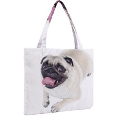 Mini Tote Bag 