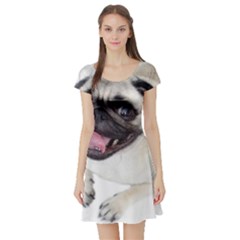 Short Sleeve Skater Dress Front Short Sleeve Skater Dress Front