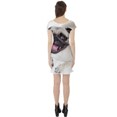 Short Sleeve Skater Dress Back Short Sleeve Skater Dress Back