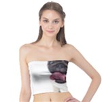 Pug Dog Tube Top