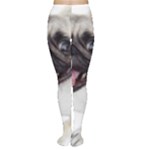 Pug Dog Tights