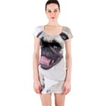Pug Dog Short Sleeve Bodycon Dress