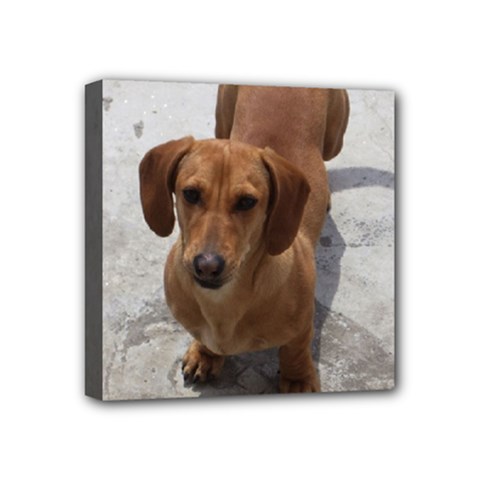 Weiner Dog Mini Canvas 4  x 4  (Stretched) from ArtsNow.com