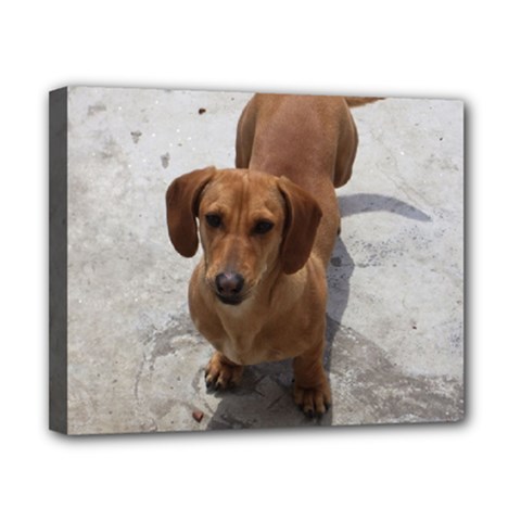 Weiner Dog Canvas 10  x 8  (Stretched) from ArtsNow.com