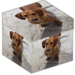 Weiner Dog Storage Stool 12 