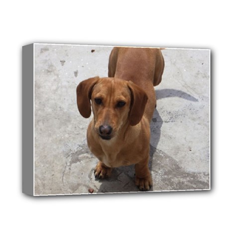 Weiner Dog Deluxe Canvas 14  x 11  (Stretched) from ArtsNow.com