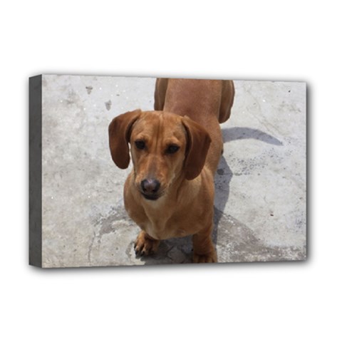 Weiner Dog Deluxe Canvas 18  x 12  (Stretched) from ArtsNow.com