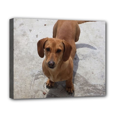 Weiner Dog Deluxe Canvas 20  x 16  (Stretched) from ArtsNow.com