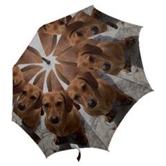 Hook Handle Umbrella (Large) 