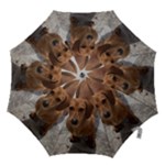 Weiner Dog Hook Handle Umbrella (Small)