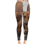 Weiner Dog Leggings 