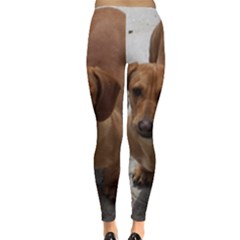 Everyday Leggings  Back