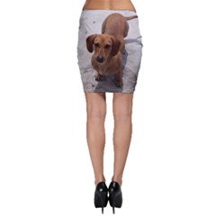 Bodycon Skirt 