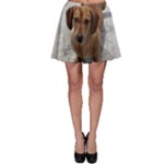 Weiner Dog Skater Skirt