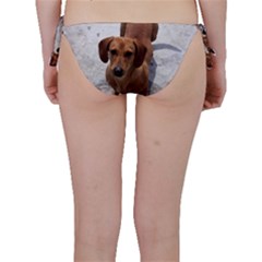 Bikini Bottoms 
