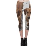 Weiner Dog Capri Leggings 
