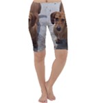 Weiner Dog Cropped Leggings 