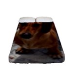 Weiner Dog Fitted Sheet (Full/ Double Size)